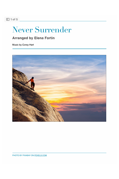 Never Surrender Cover